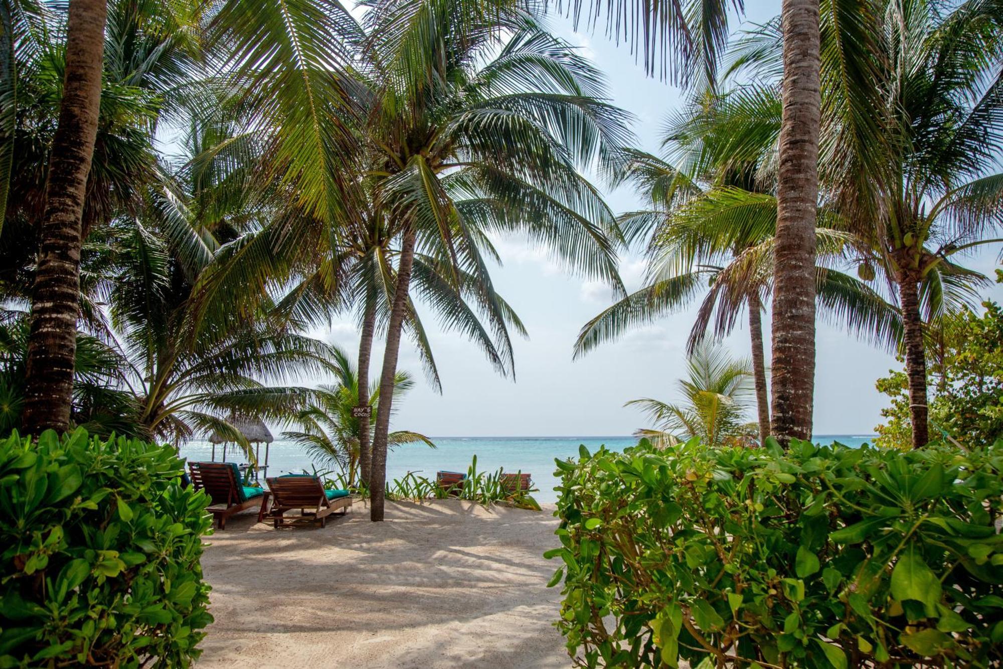 Bed and breakfast Casa Colibrí Tankah Tulum